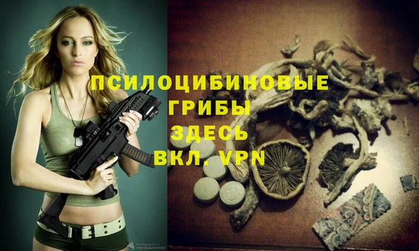 марки lsd Абаза