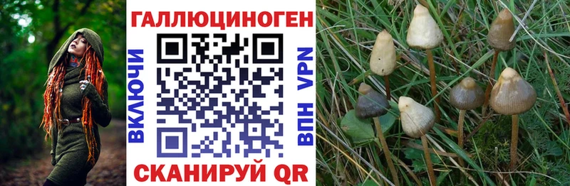 Псилоцибиновые грибы Psilocybe  Керчь 