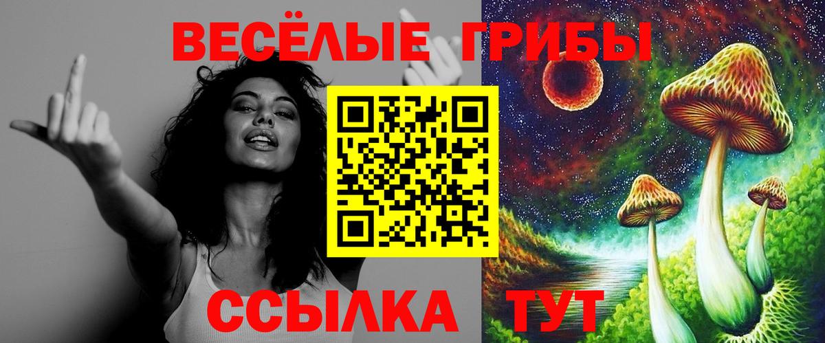 Керчь  Псилоцибиновые грибы Psilocybe  Вход с VPN  Псилоцибиновые грибы Magic Shrooms 